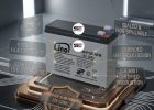 12V 12Ah Rechargeable Sealed Lead-Acid Lino  (SLA / VRLA) Battery for UPS, Emergency Lights, Solar System, Electric Bikes, Weighing Scales & Security Systems